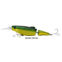 Golden Shiner