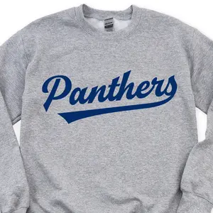 Panthers Swoosh DTF Transfers DTF4243