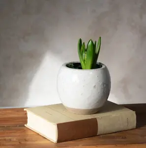 French White Ball Planter