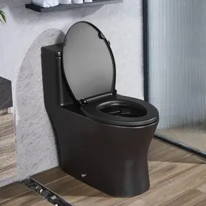 VEVOR One-Piece Toilet, Elongated Toilet Vortex Dual-Flush 1.0/1.28 GPF, Toilets for Bathroom with Comfortable Chair Seat, Standard Height, Easy-Clean Skirted Design, 12 inch Rough-In, Black+ Silver