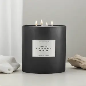 55oz Scented Coconut Wax Jar Candle - W Hotel® Inspired Decoration, Fragrance with Citrus, Lemongrass, Jasmine Perfume, Home Decor Wick Freshener for Home Supplies