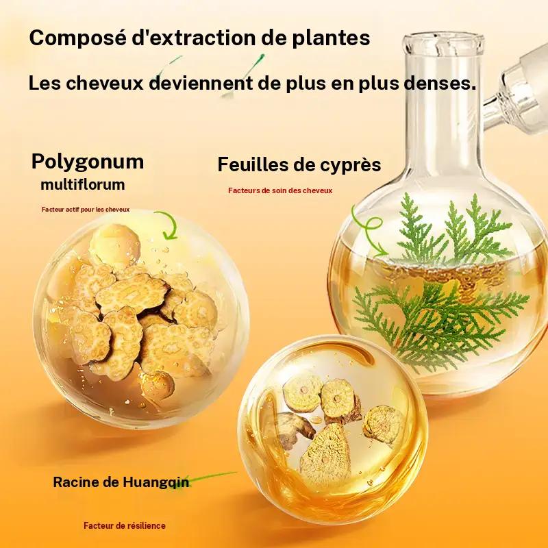 Deliiston Shampoo and Conditioner 300ml, contains ginger extract to strengthen the hair roots, moisturize the hair, and make it soft and easy to comb.