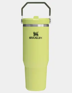 STANLEY 30 oz Limited Edition The IceFlow™ Flip Straw Tumbler, Prickly Pear