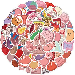 50 count Anatomy , Human  Part Stickers Pack for ,  -  Vinyl, Anatomy & Physiology Gifts