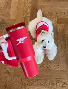 Stan Limited Edition X LOVESHACKFANCY 40 OZ H2.0 Tumblerwith Handle, Double Walled Vacuum Insulated Stainless Steel Water Bottle for Outdoor Camping Mug Cup Drinkware Portable Lid  Reusable Washable  Flasks Bottled