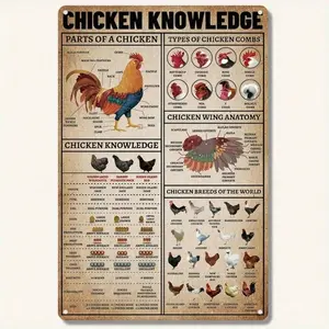 【Vintage Wall Decor】Chicken Knowledge Tin Sign, Farmhouse Kitchen Decor with Chicken Anatomy Chart, Weatherproof Metal Art Sign, Rustic Design