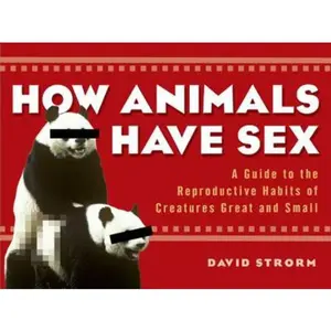 USED-How Animals Have Sex by David Strorm (Paperback)
