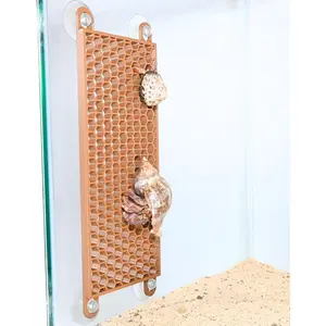 Hermit Crab Ladder Climbing Toy Tank Enrichment Decor Decoration Accessories Supplies Toys Ornaments