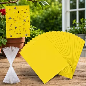 Yellow Sticky Traps for Gnats Fruit Fly Trap, Double-Sided Fungus Gnat Trap Insects Pest Killer for Outdoor Indoor dealsforyou summerwins