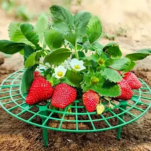 5-Piece Heavy-Duty Strawberry Watermelon Plant Stand, Three-Layer Stable Garden Support Rack, Space-Saving Crop Holder, Easy Assembly