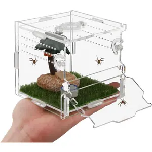Reptile Terrarium,Tarantula Enclosure,Jumping Spider Enclosure for Tarantula Scorpion Sling Isopods Snail Reptile Invertebrates Accessories(4" X4 X4 ) snail  terrarium