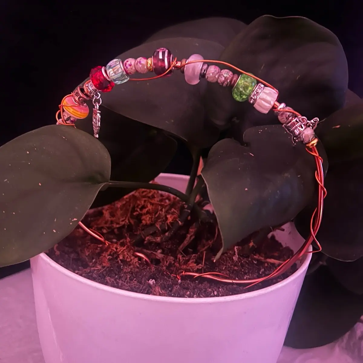 Round copper trellis with beads for climbing indoor houseplants