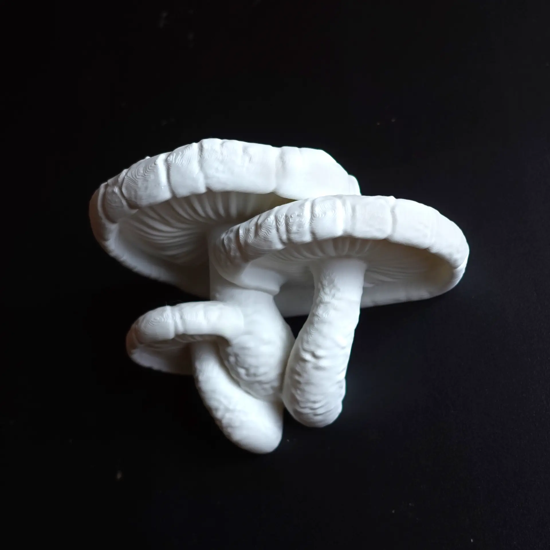 Edodes Fungus Mushroom Shelf designed by Gazzaladra with Cottagecore/Fairycore aesthetic Decor Shelves Nature