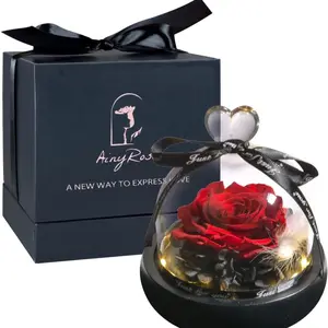 Preserved Rose Flower Birthday Gift for Women Girlfriend Light Up Real Red Glass Rose Gift for Mother Day Christmas Wife Anniversary Valentines Day Gift for Her