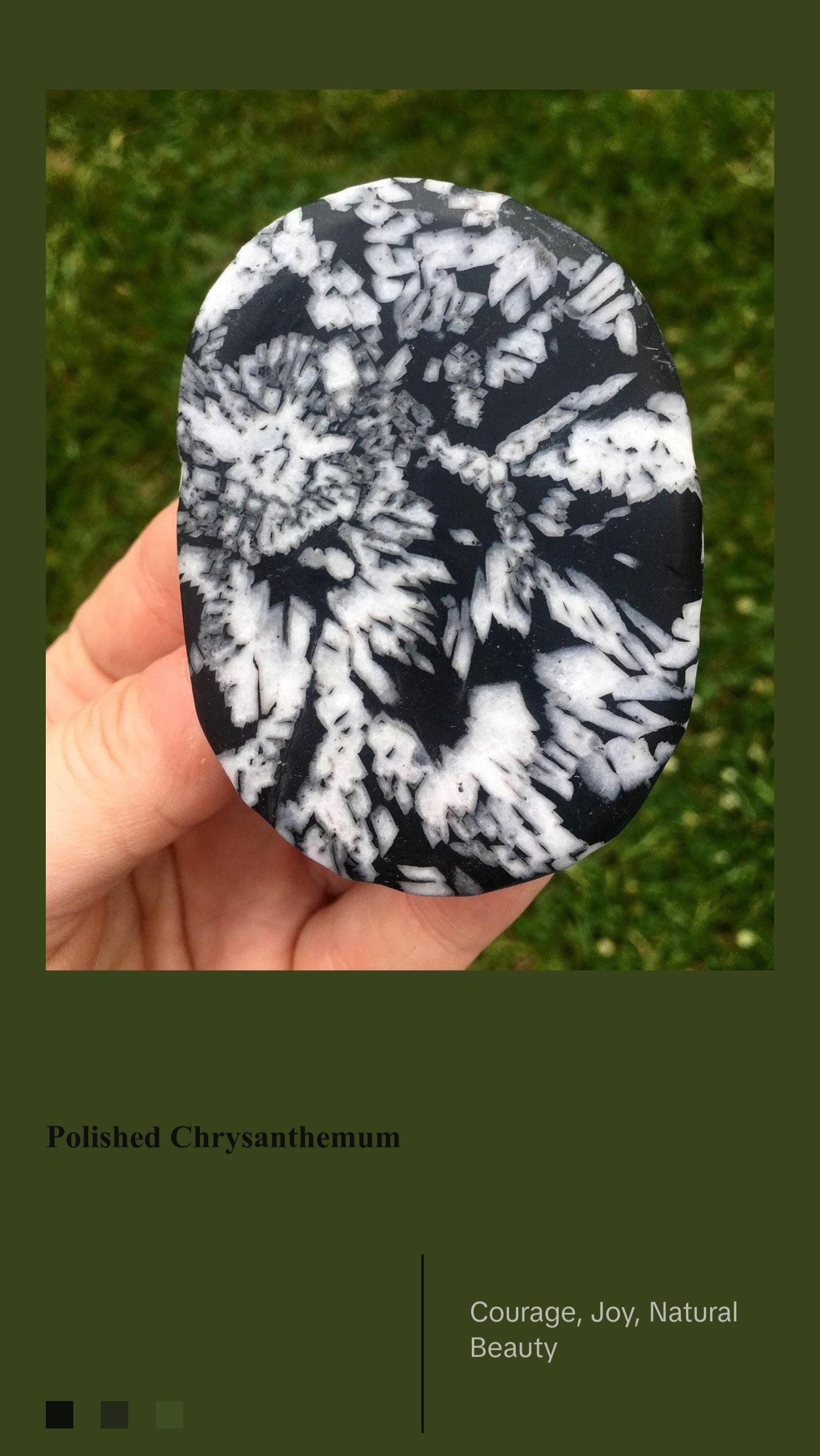 Chrysanthemum Palm Stone - Polished Stone Oval