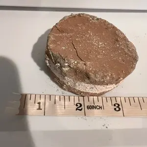 Sobri-mamut . Brown and white Clay in a form of a circle. Made in Mexico