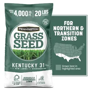 Pennington Kentucky 31 Tall Fescue Grass Seeds for Lawn, for Sun to Partial Shade, 20 lb