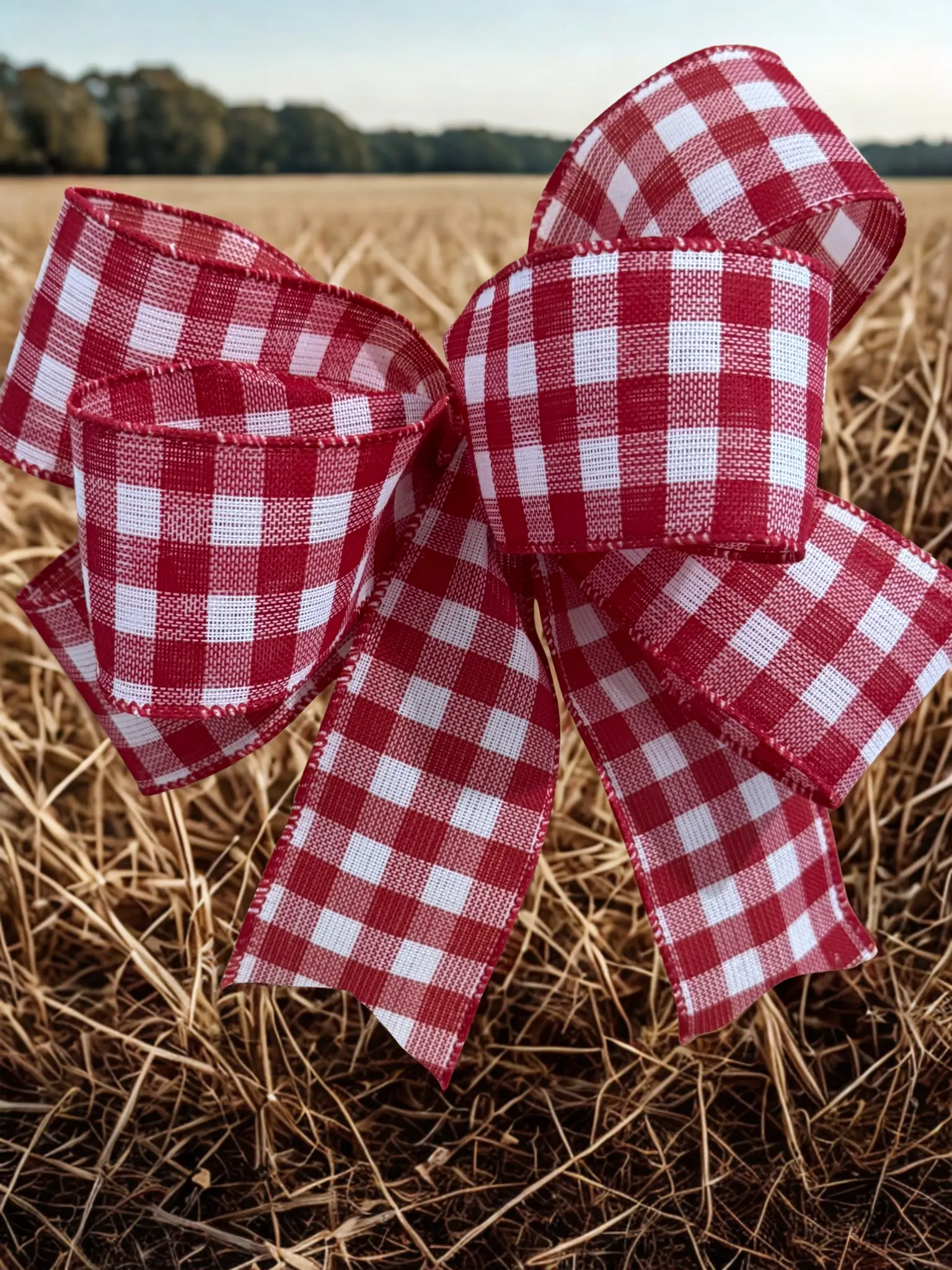 2.5 Inch Bright Red/White Plaid Wire Edge Ribbon