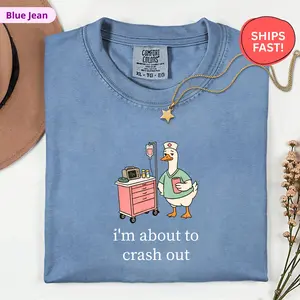 Silly Goose Nurse Shirt, Comfort Colors Funny Nurse Tee, I'm About to Crash Out, Night Shift CNA Gift, Nurse Appreciation
