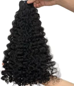 Burmese Curly
