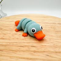 Platypus - Teal & Orange