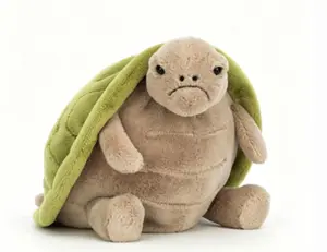 My grumpy turtle buddy