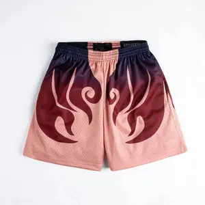 One Piece Anime/Manga Mesh Gym Shorts - Unisex Compression Summer Wear