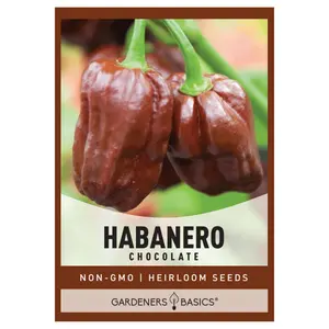 Chocolate Habanero Pepper Seeds
