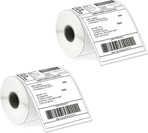 4x6 Thermal Shipping Labels - 2 Rolls of 250, Perforated & Smudge-Proof Direct Thermal Labels Compatible with Rollo, Zebra, for Amazon UPS FedEx Shopify