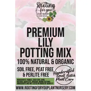 Lily Premium Potting Mix