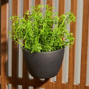 Nocturne Wall Planter