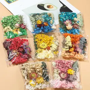 Dried Flowers Diy Eternal Flower Material Package DIY Photo Frame Stickers Valentine's Day Floral Class Bagged Flower Material