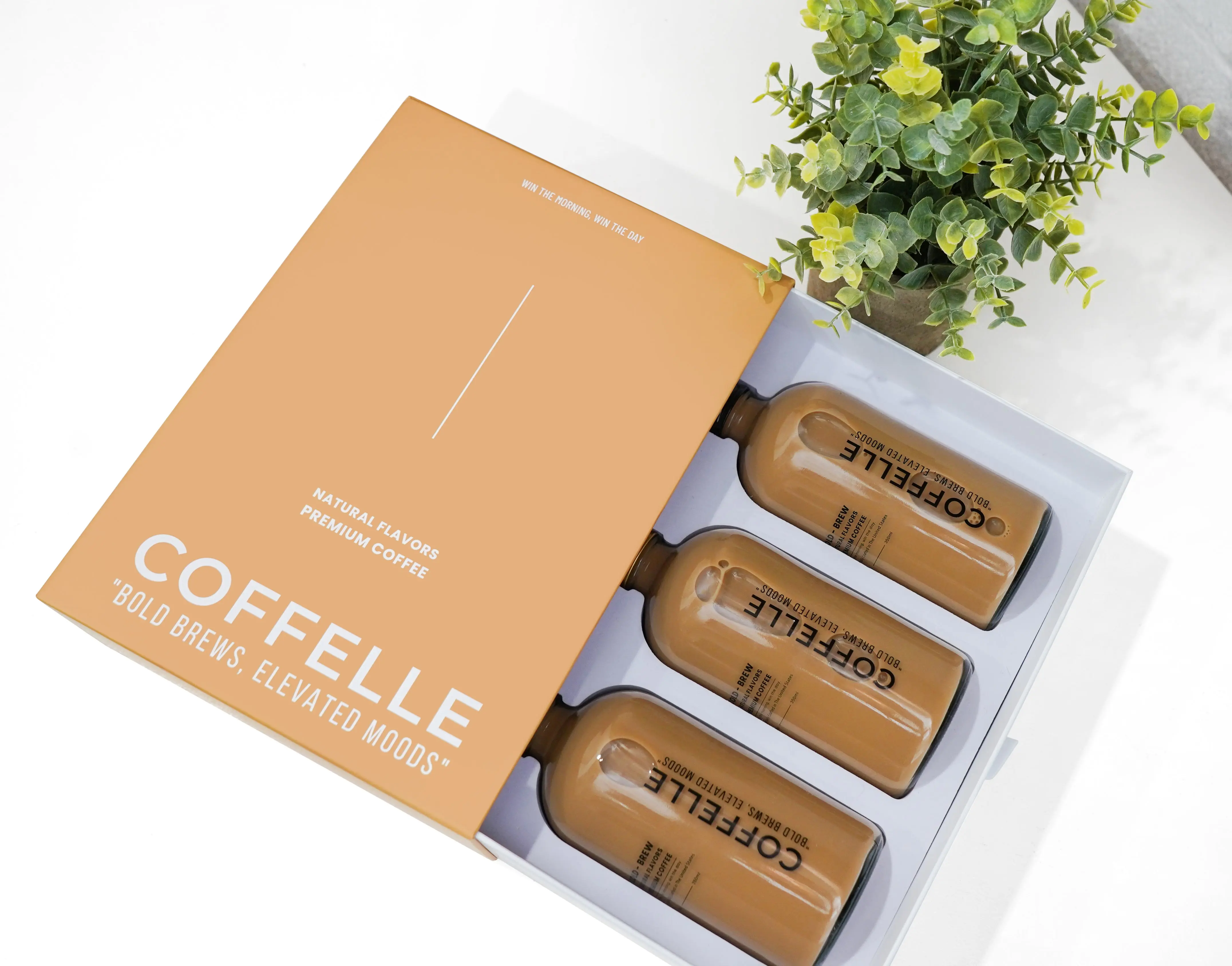Coffelle Ready-to-Drink Cold Brew 3-Pack (12oz)