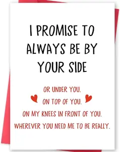 Funny Valentines Day Gifts for Him Her, Valentines Day Card for Men Women, Naughty Anniversary Birthday Card for Boyfriend Husband Fiance Girlfriend Wife Fiancee, I Promise to Always Be by Your Side