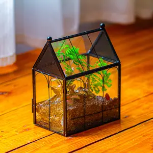 NCYP Small House Shaped Spider Enclosure Terrarium with Mesh, and Front Opening Door, Stainless Steel and Glass, Jumping Spider Small Insect Habitat, Terrarium Only