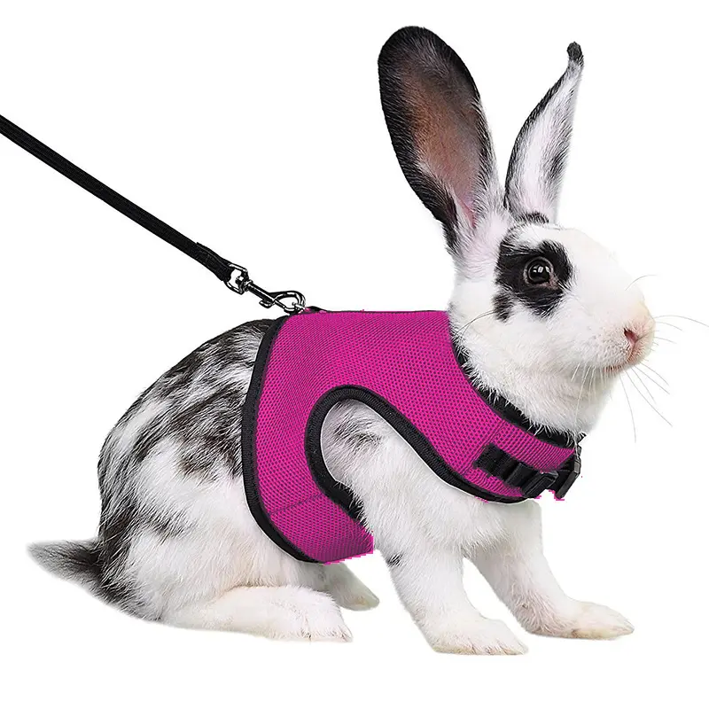 Rabbit Harness Leash Set, Adjustable Soft Pet Vest for Bunny & Small Animals, Cute Walking Harness for Outdoor Adventures