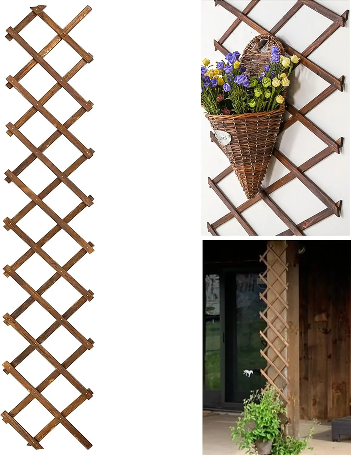 Expandable Wooden Lattice Wall Trellis – Vertical Garden Rack for Climbing Plants, Air Plants & Outdoor/Indoor Patio Decor