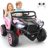 Pink-24V 2-Seater UTV
