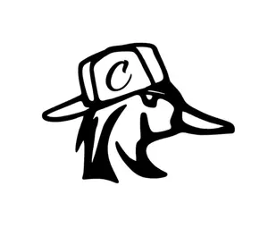 Custom Initial Duck With Backwards Hat Decal (Put Intial In Notes), Car Decal, Truck accessories, Squatted trucks, Duck Decal