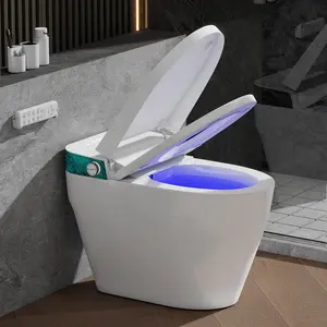 Smart Toilet with Bidet Built In, Elongated Heated Seat, Warm Water & Dryer, One Piece Bidet for Bathrooms, Modern Smart Toilet with Auto Flush, Night Light, LED Display, and Remote Control  IS1001