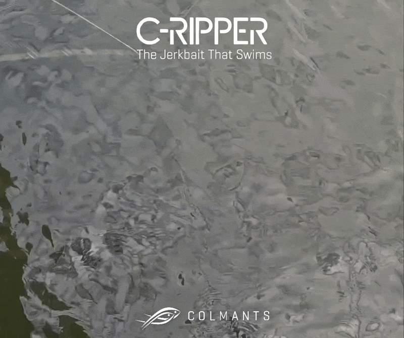 C-Ripper Hybrid Jointed Swimmer