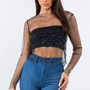 Sparkly Mesh Long Sleeve Top