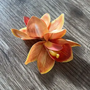 review image 5