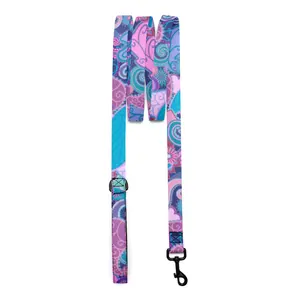 Paisley Wonderland Pet leash