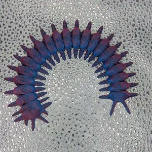 Med. Articulated centipede