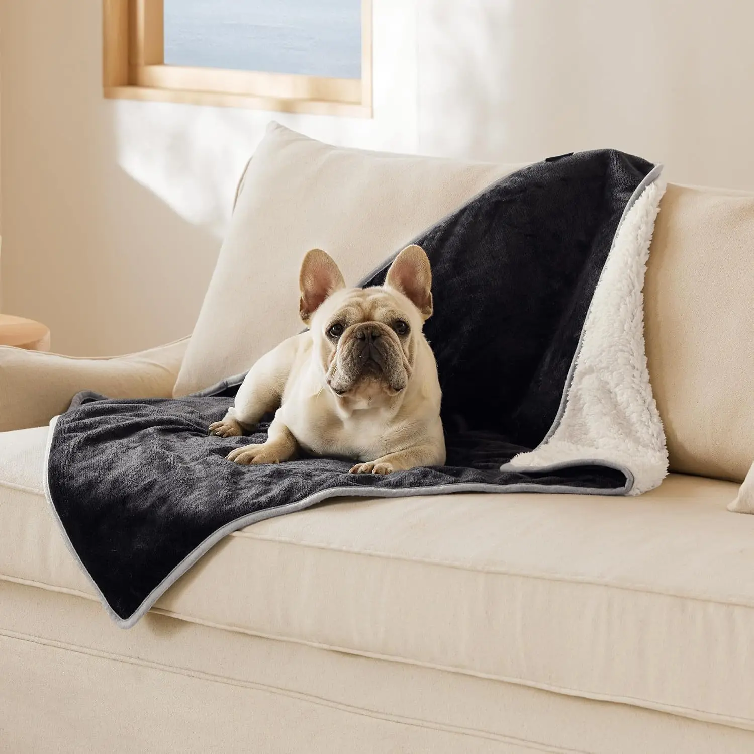 Pet Waterproof Blanket - Thickened Flannel 4-Season Dog/Cat Mat, Warm, Multiple Sizes & Classic Colors, Essential Winter Pet Bedding