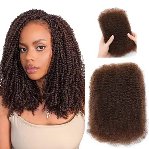 Afro Kinkys Bulk Human Hair for Dreadlocks Extensions and Locs Repair Afro Kinky Curly Human Hair Bulk for Twist