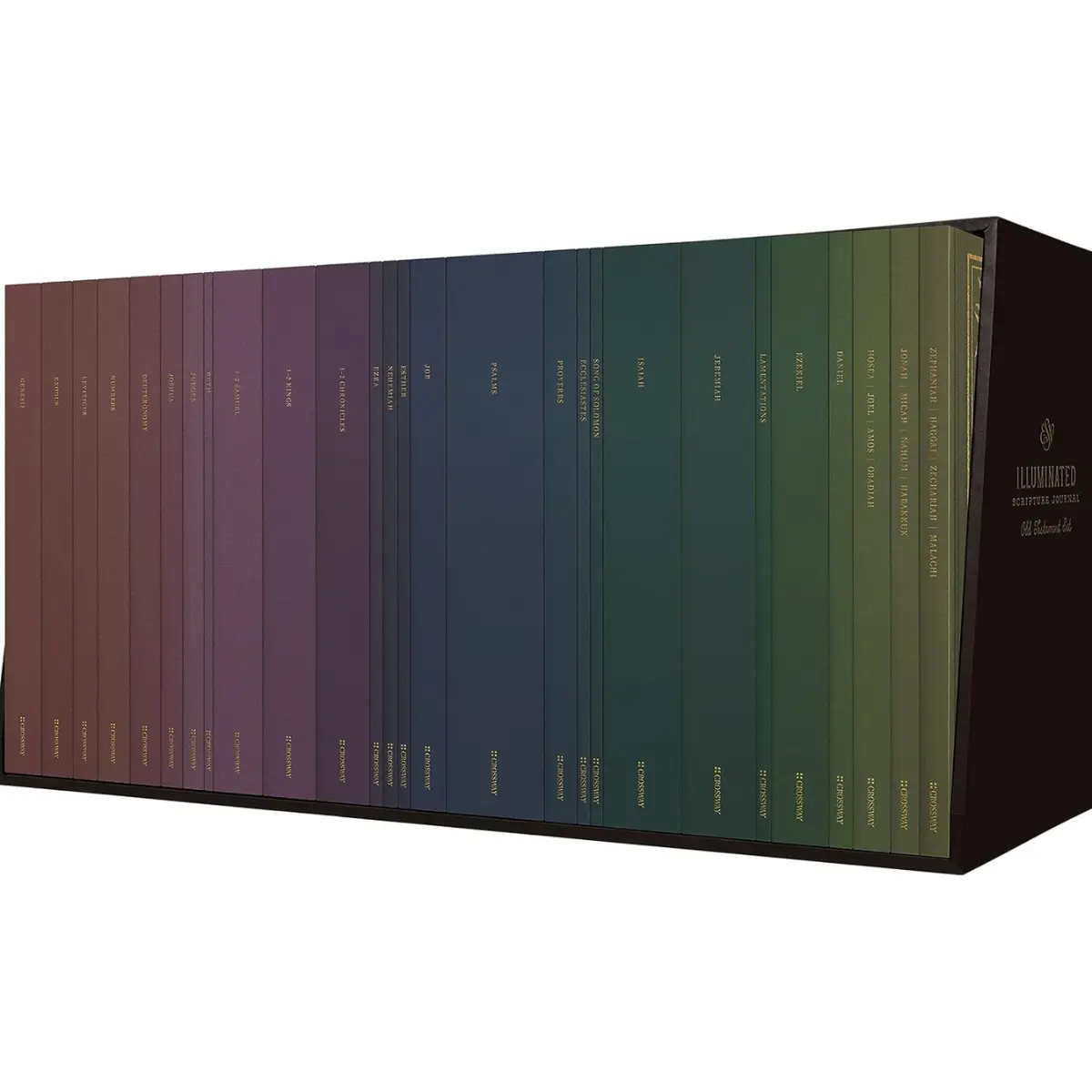 ESV Illuminated Scripture Journal - Bible Study & Journaling Book- Paperback