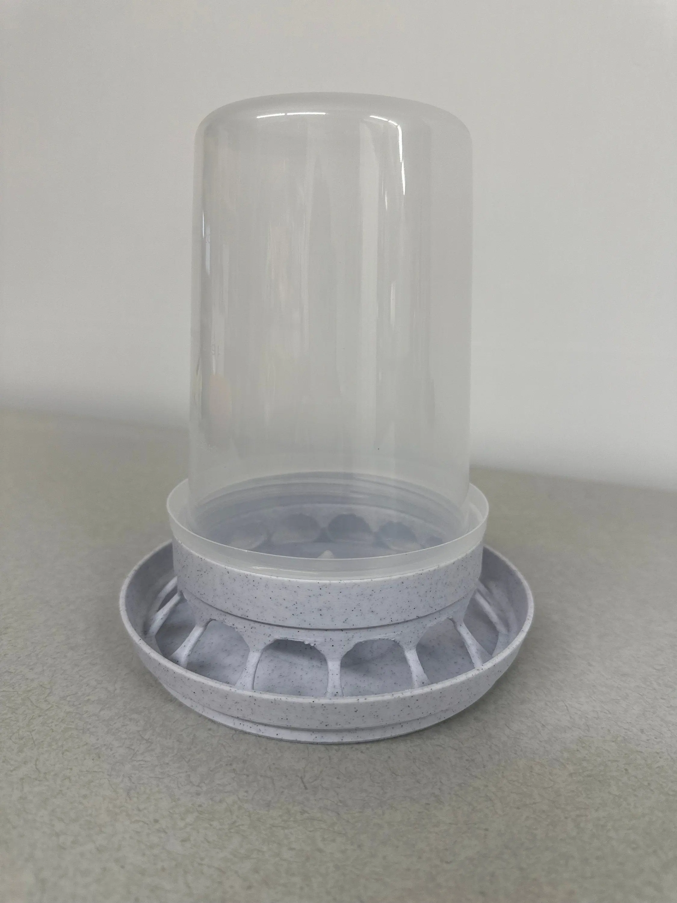 Quail Chick Feeder