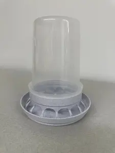 Quail Chick Feeder
